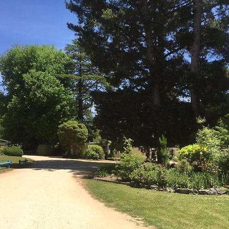 Daylesford Holiday Park Exterior foto